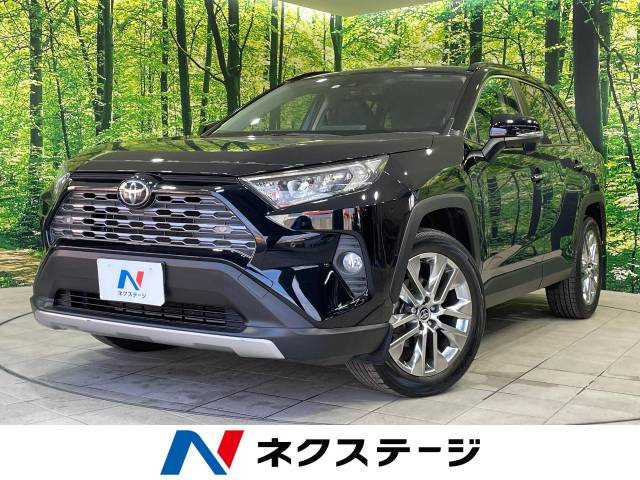 RAV4  G Zパッケージ