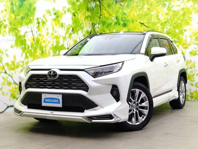 RAV4 2.0 G Zパッケージ 4WD 