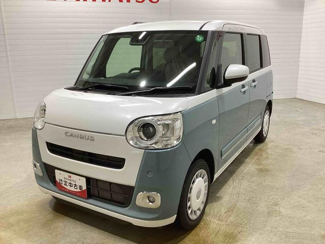 ムーヴキャンバス  ストライプス G