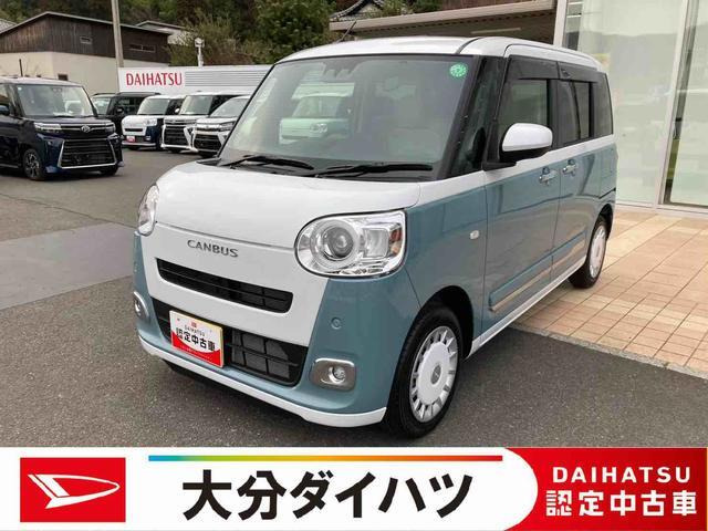 ムーヴキャンバス  ストライプス G