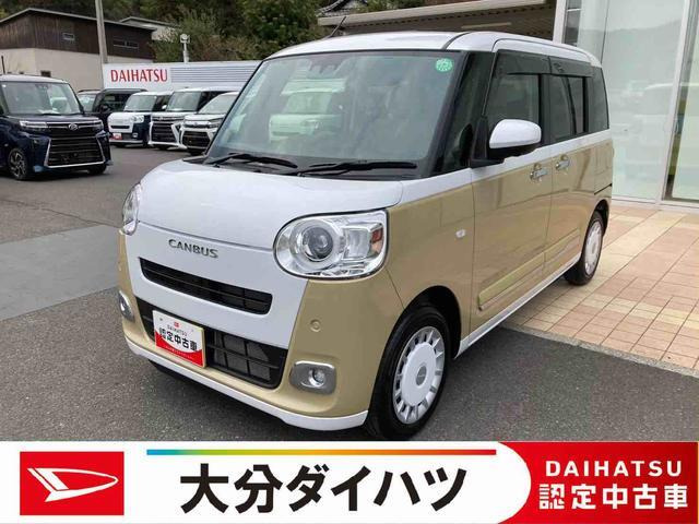 ムーヴキャンバス  ストライプス G
