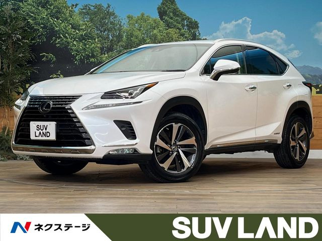 NX 300h Iパッケージ 