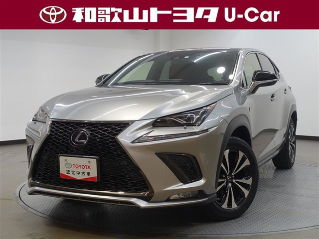 NX 300h Fスポーツ 