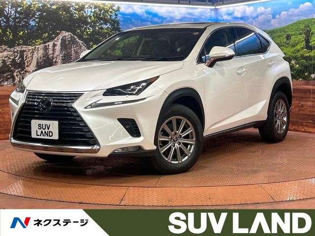 NX 200t Iパッケージ 