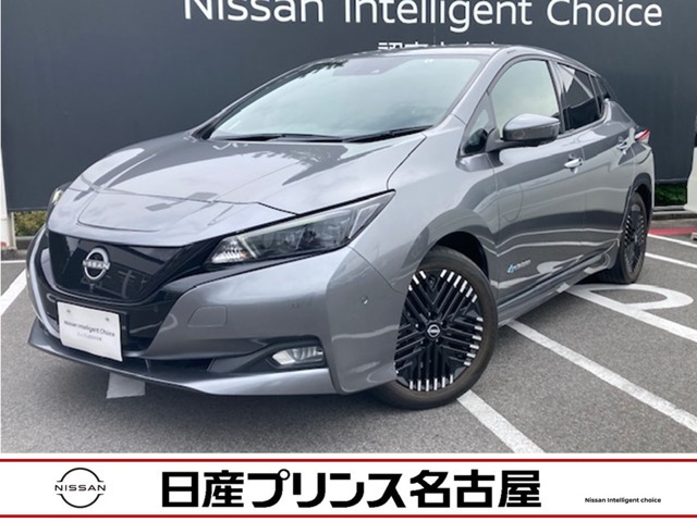 リーフ G 