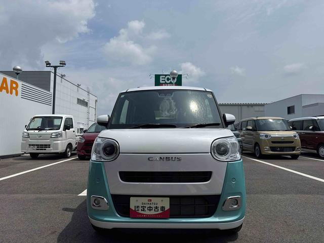 ムーヴキャンバス  ストライプス G