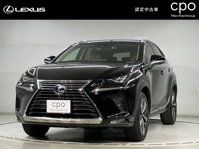 NX 300h Iパッケージ 4WD 