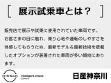 デイズルークス X 
