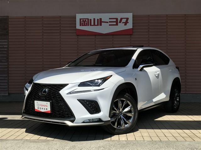 NX 300 Fスポーツ 