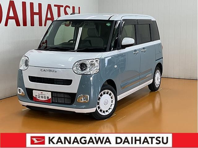 ムーヴキャンバス  ストライプス G