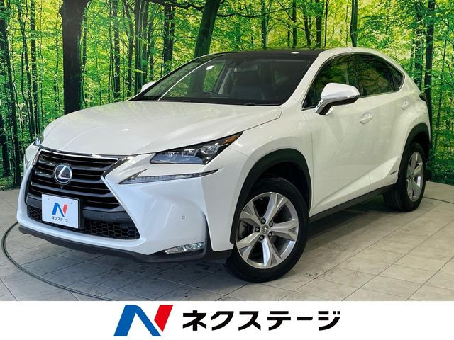 NX 300h バージョンL 