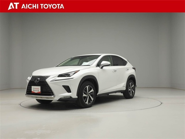 NX 300h Iパッケージ 