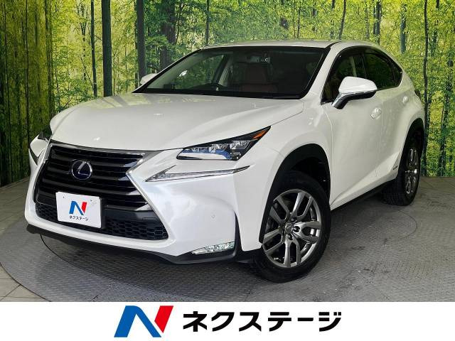 NX 300h Iパッケージ 