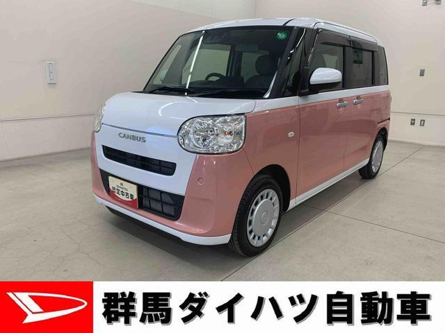 ムーヴキャンバス  ストライプス X