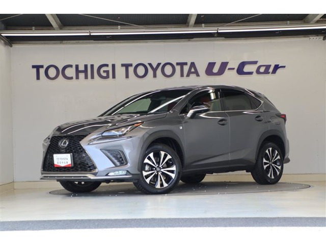 NX 300 Fスポーツ 4WD 