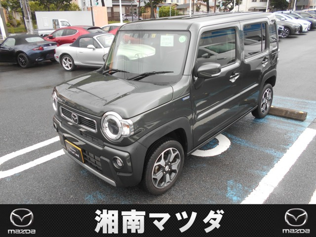 フレアクロスオーバー XS 