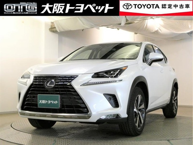 NX 300h Iパッケージ 