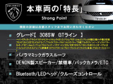 308SW GTライン 