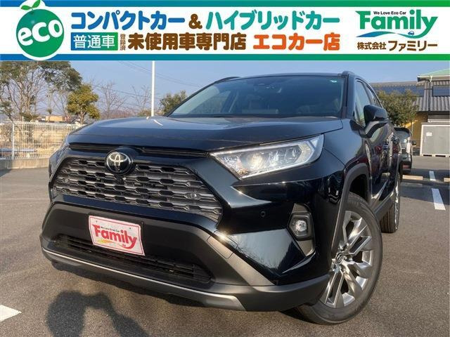 RAV4 2.0 G Zパッケージ 4WD ディスプレイオーディオ 登録済未使用車