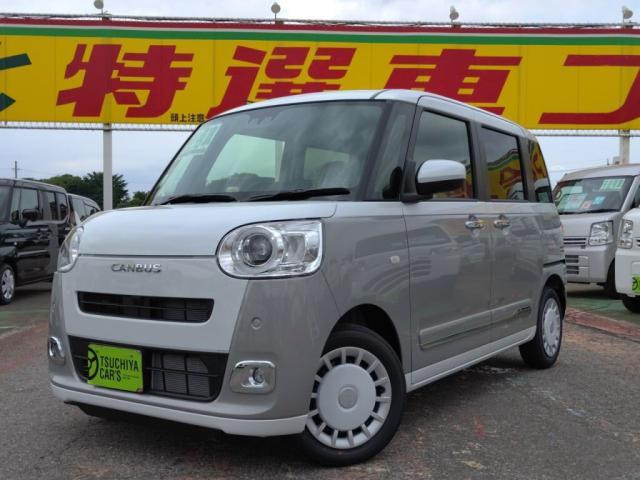ムーヴキャンバス ストライプス G 