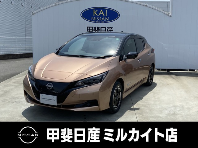 リーフ X 