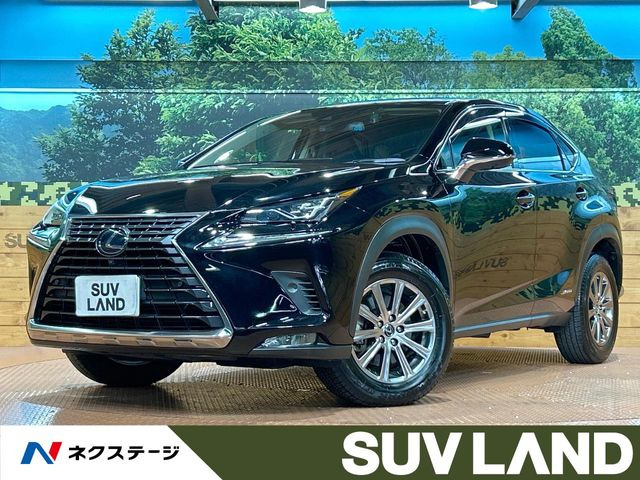 NX 300h Iパッケージ 