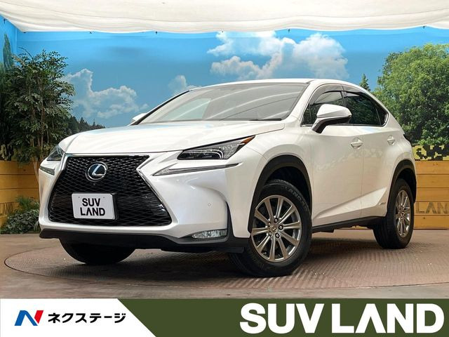 NX 300h Iパッケージ 