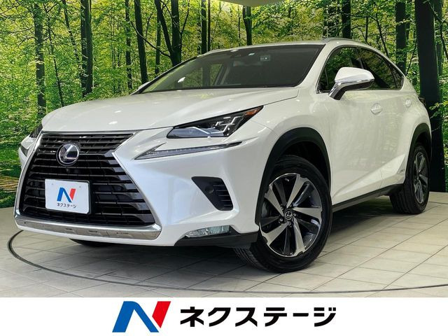 NX 300h Iパッケージ 