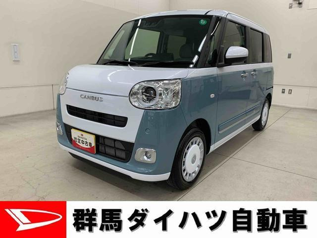 ムーヴキャンバス  ストライプス G
