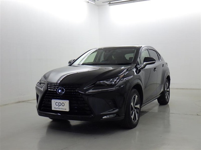 NX 300h 