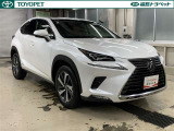 NX 300h Iパッケージ 