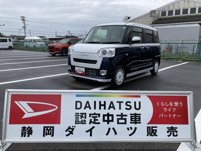 ムーヴキャンバス  ストライプス G