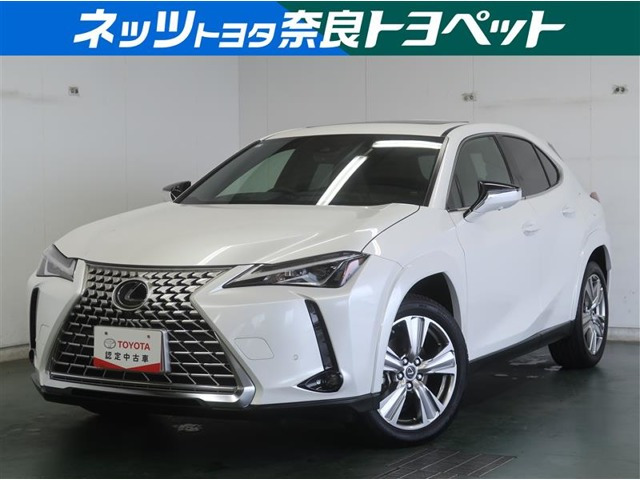 UX 250h グレイスフル エクスプローラー 