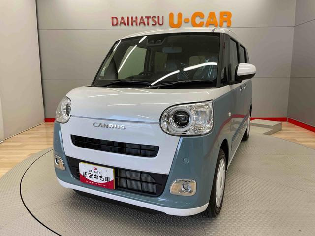 ムーヴキャンバス  ストライプス G