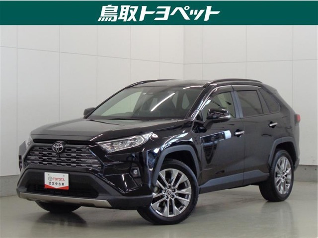 RAV4  2.0 G Zパッケージ 4WD