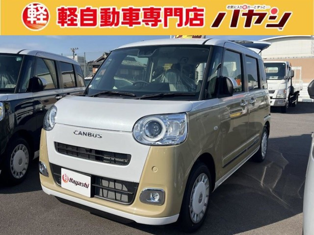ムーヴキャンバス  ストライプス G