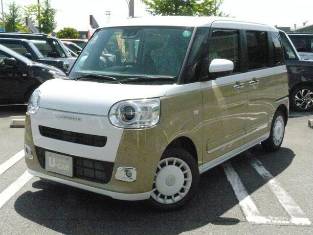 ムーヴキャンバス  ストライプス G