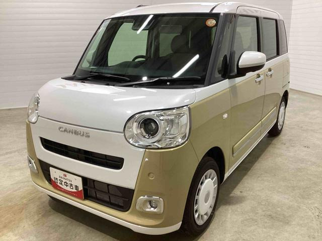 ムーヴキャンバス  ストライプス G
