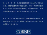 ローマ F1 DCT 