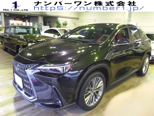 NX 250 バージョンL NX 250 バージョンL
