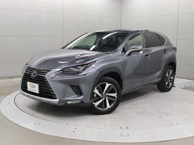NX 300 バージョンL 