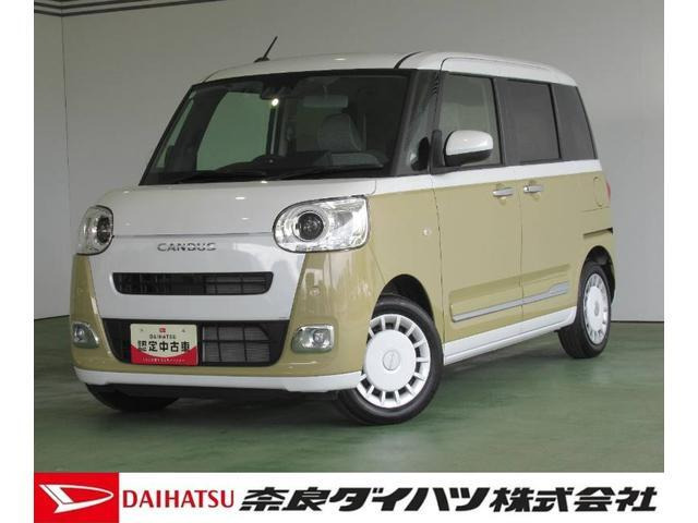 ムーヴキャンバス  ストライプス G