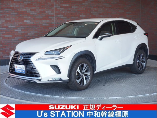 NX 300 Iパッケージ 4WD 