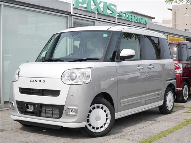 ムーヴキャンバス  ストライプス G