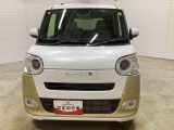 ムーヴキャンバス  ストライプス G