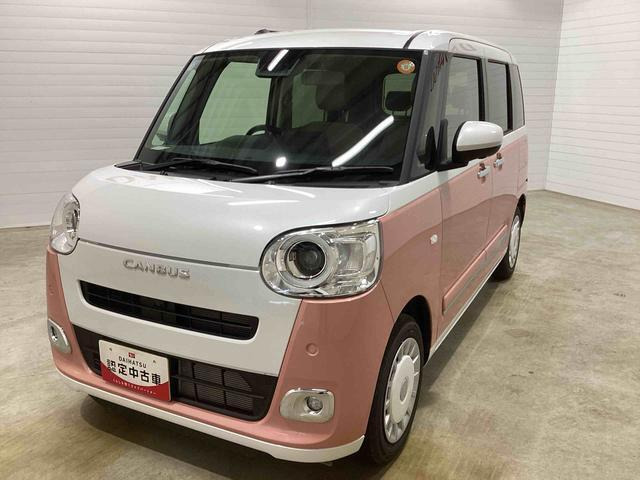 ムーヴキャンバス  ストライプス G