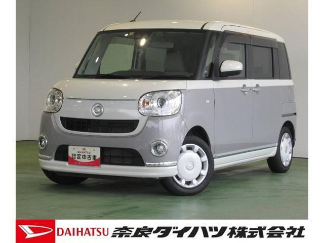 ムーヴキャンバス G メイクアップ SAIII 