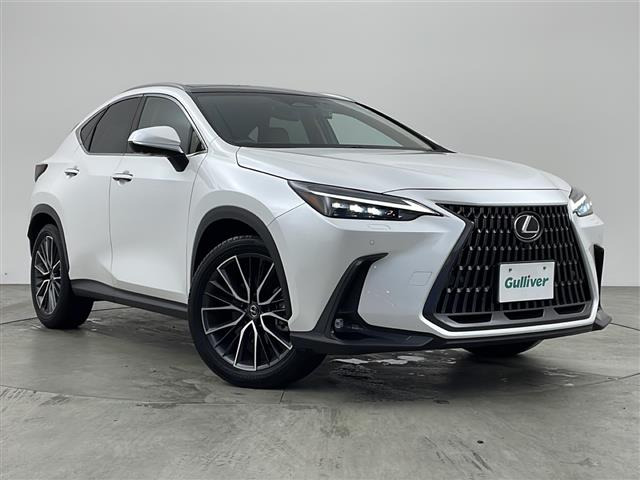 NX 250 バージョンL 本革シート サンルーフ