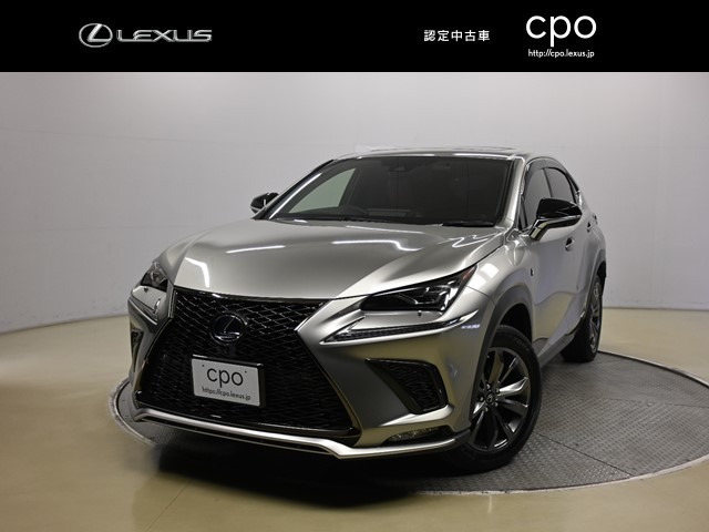 NX 300h Fスポーツ 