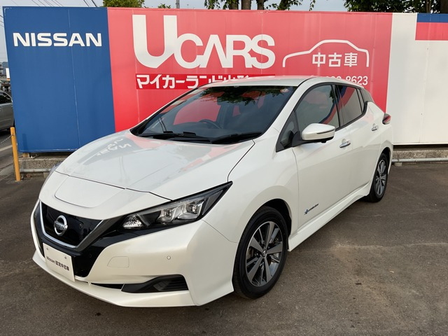 リーフ X 